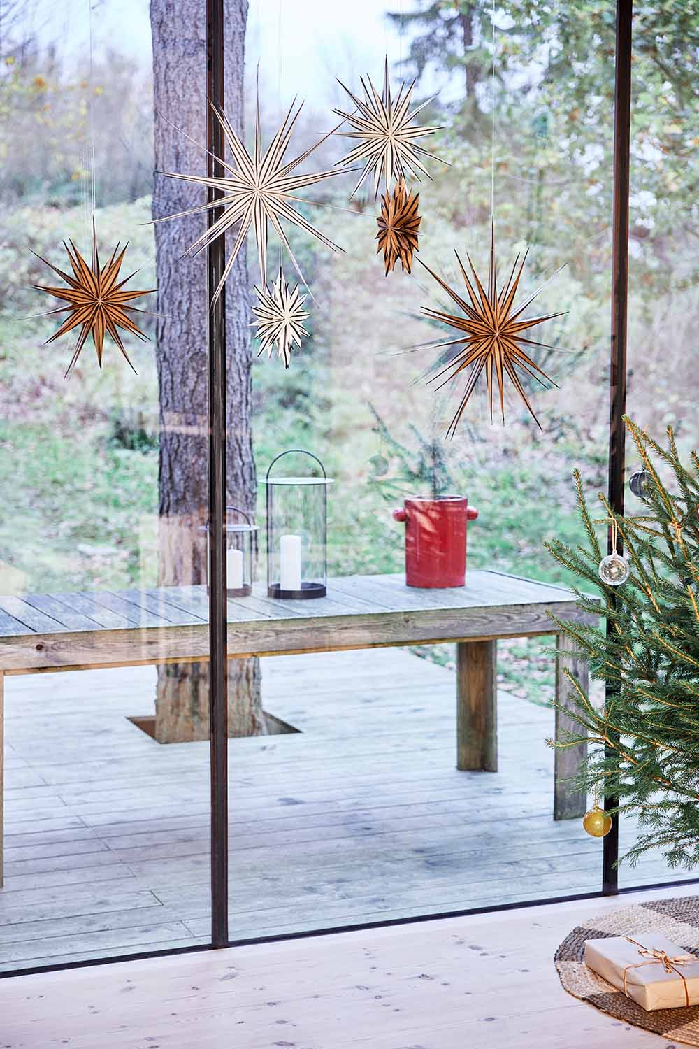 Toppu Julstjärna, Brun