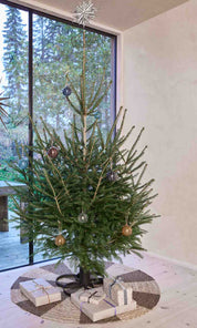 Natale Julgranskula, Bärnsten