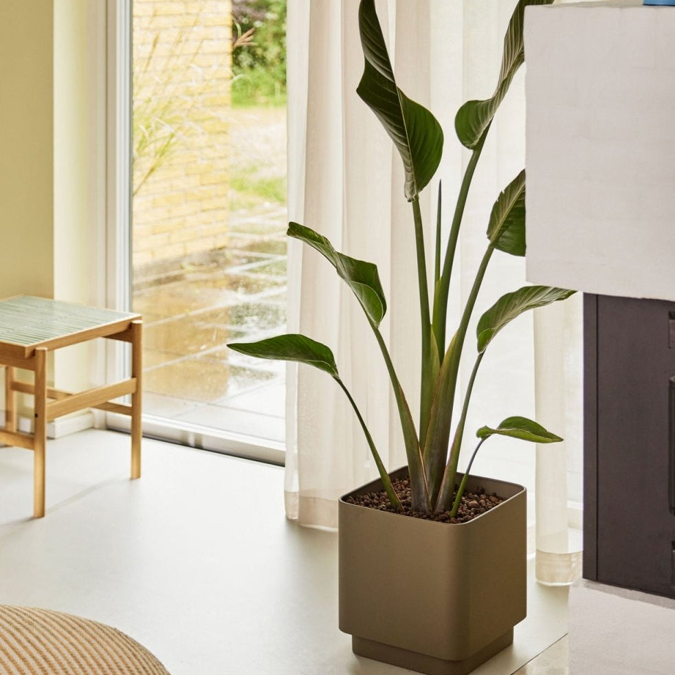 Hübsch Cube Kruka 2 - Pack, Brun - Azalea Home