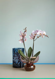 Hübsch Leo Vas 2 - Pack, Blå - Azalea Home