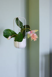Hübsch Lotus Ampel Ljusgrå, 2 - Pack - Azalea Home