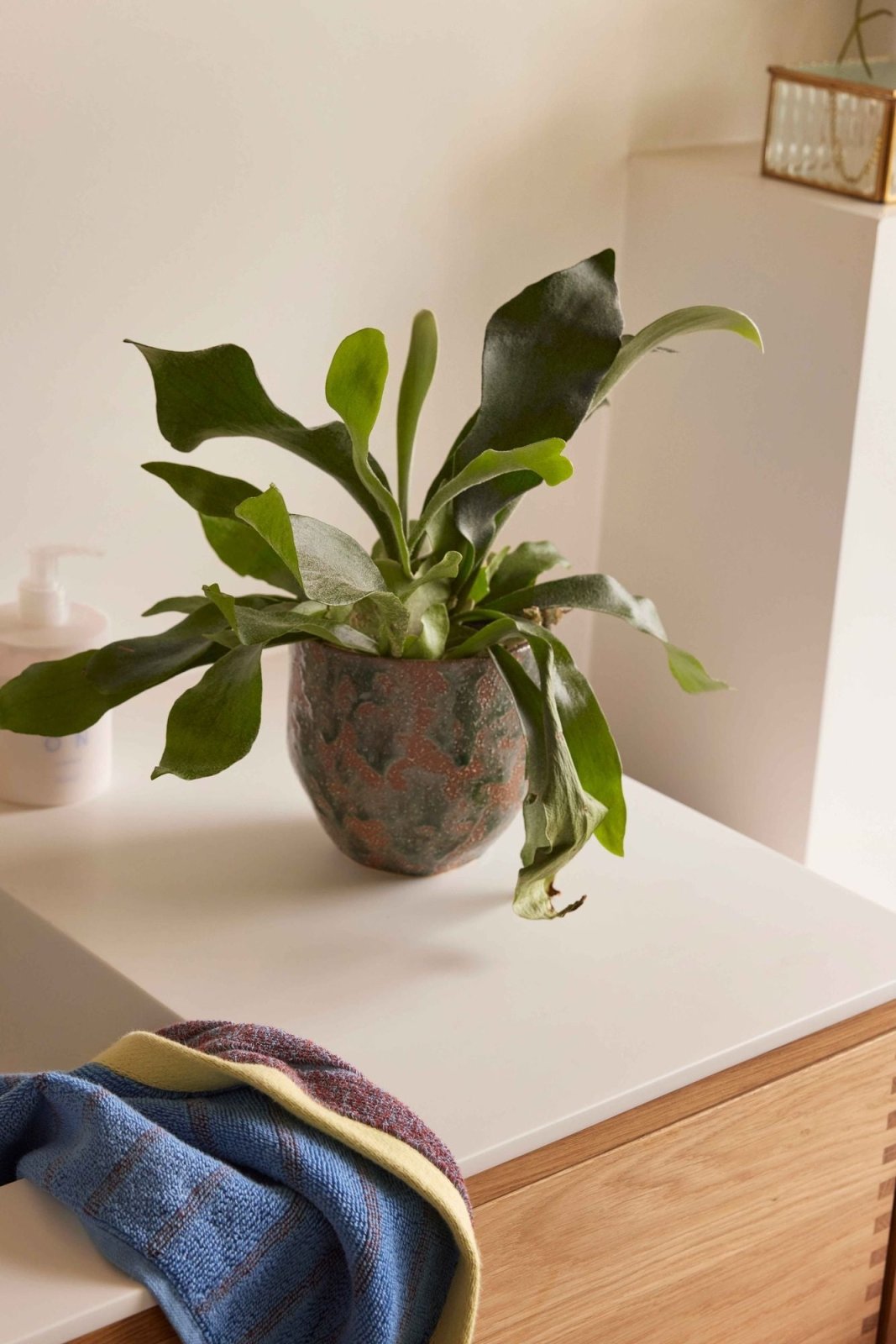 Hübsch Normu Kruka 2 - Pack, Brun/grön - Azalea Home