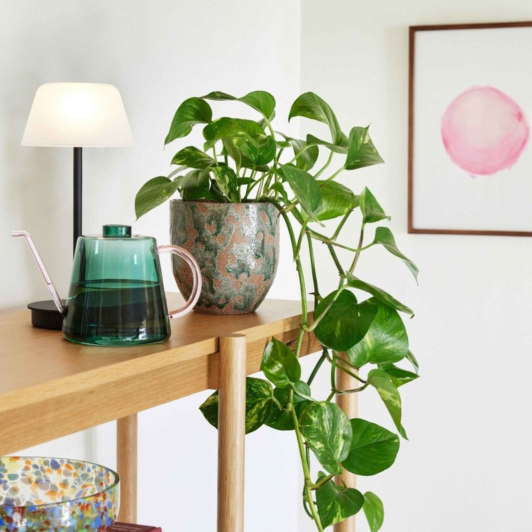 grön - Azalea Home