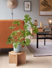 Hübsch Pliss Vägglampa Beige - Azalea Home