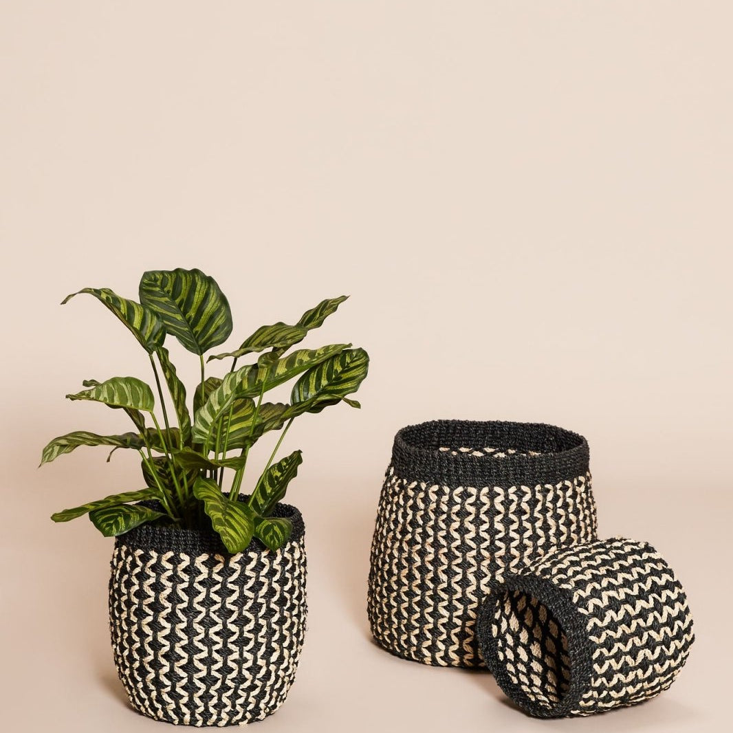 Hübsch Sprout Korg, 3 - Pack - Azalea Home
