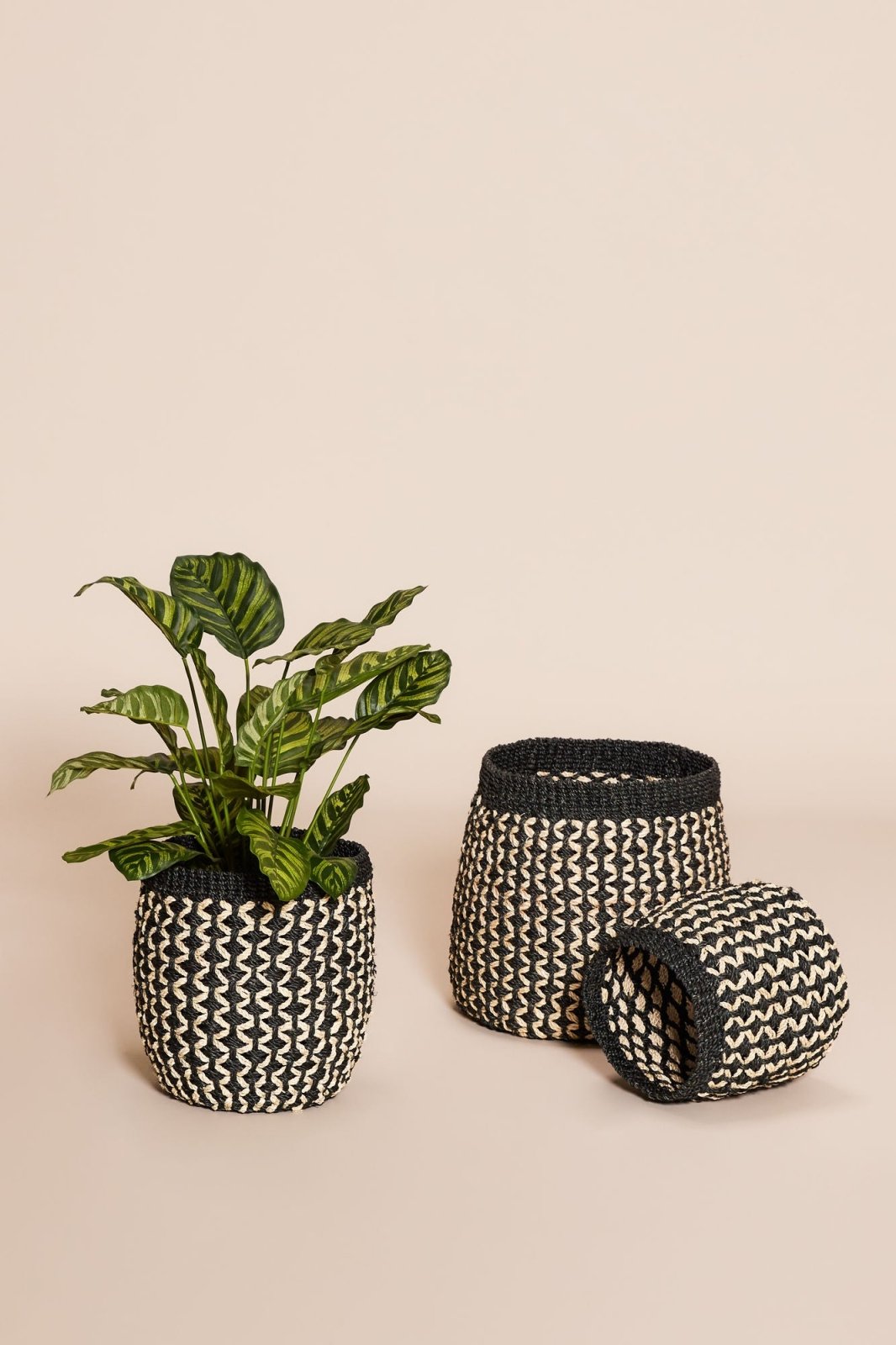 Hübsch Sprout Korg, 3 - Pack - Azalea Home