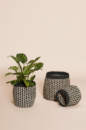 Hübsch Sprout Korg, 3 - Pack - Azalea Home