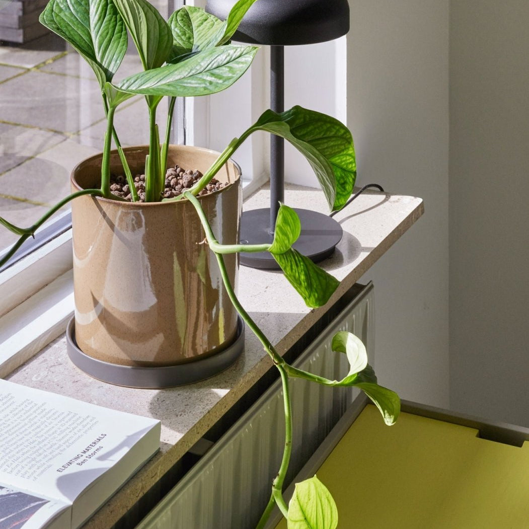 Hübsch Velo Bordslampa, Svart - Azalea Home