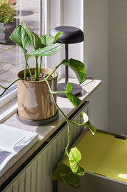 Hübsch Velo Bordslampa, Svart - Azalea Home