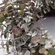 Lene Bjerre Eurelia krans Ø46, Konstväxt - Azalea Home