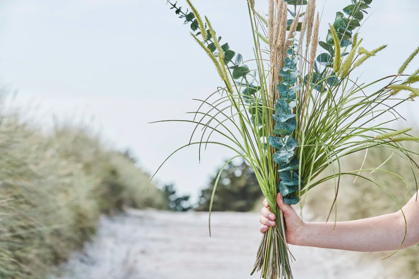 Lene Bjerre Flora eukalyptus, Konstväxt - Azalea Home