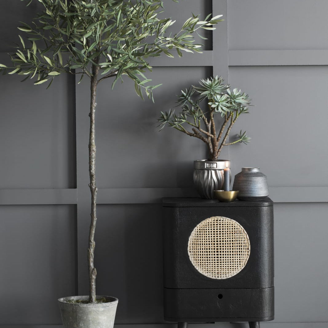 Lene Bjerre Flora olivträd 160cm, Konstväxt - Azalea Home