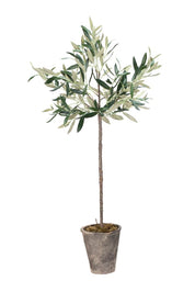 Lene Bjerre Flora olivträd 73cm, Konstväxt - Azalea Home