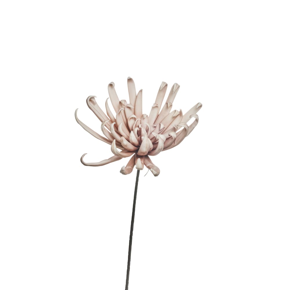 Lene Bjerre Happia Dekorationsblomma H52, Rose - Azalea Home