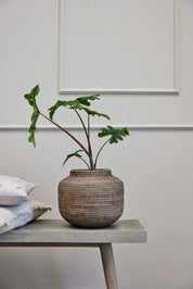 Lene Bjerre Norah blomkruka H30, Natur - Azalea Home