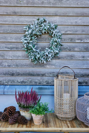 Lene Bjerre Noralle Ljuslykta H51, Natur - Azalea Home