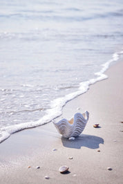 Lene Bjerre Sheline Dekorationsskål, Beige - Azalea Home