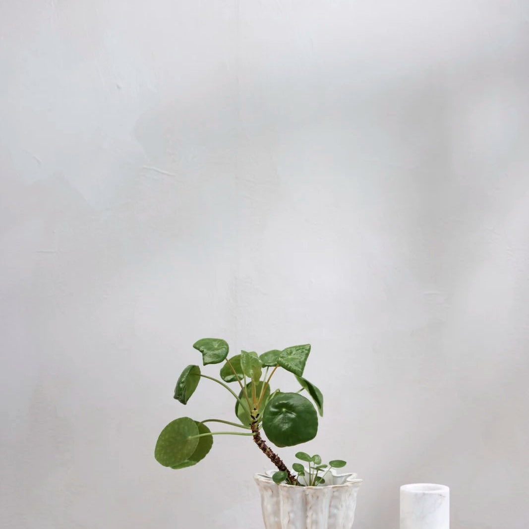 Lene Bjerre Vielle blomkruka Ø14, Off White - Azalea Home