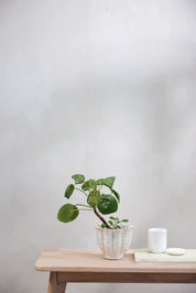 Lene Bjerre Vielle blomkruka Ø14, Off White - Azalea Home