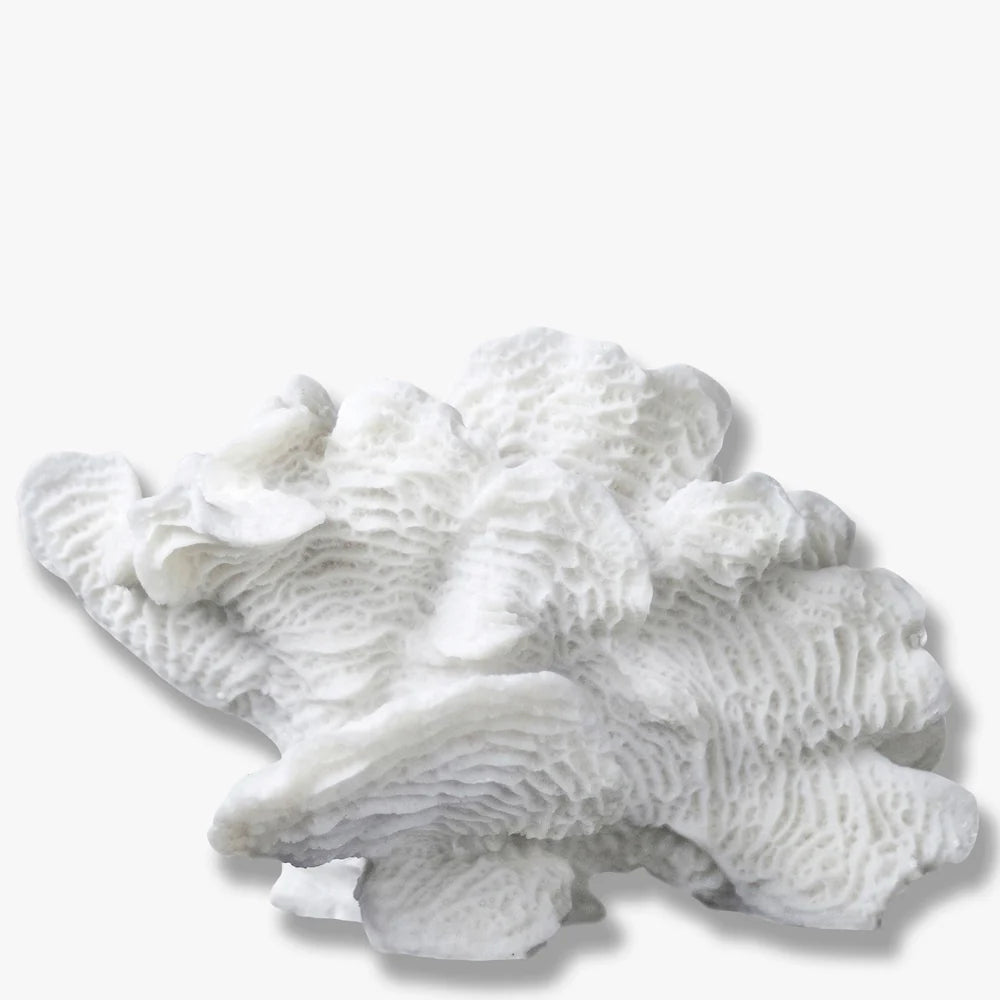 Mette Ditmer CORAL Dekoration, Vit - Azalea Home