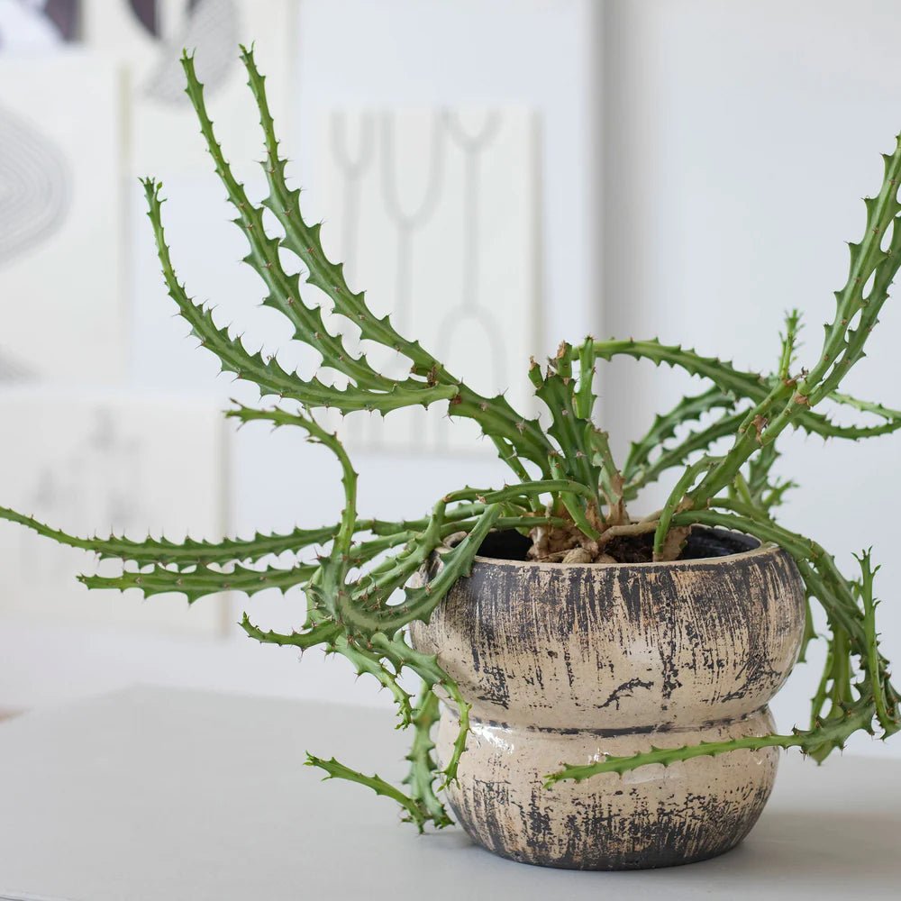 Mette Ditmer RAW Kruka, Off - white - Azalea Home