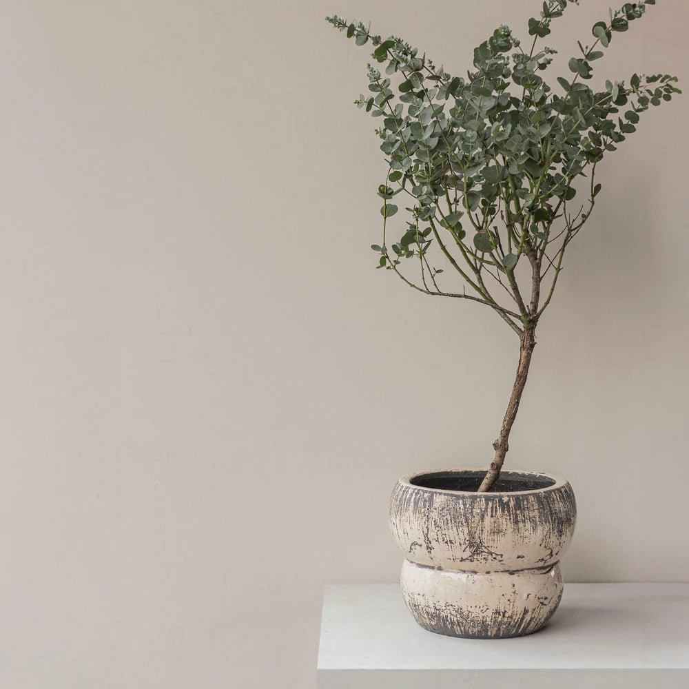 Mette Ditmer RAW Kruka, Off - white - Azalea Home