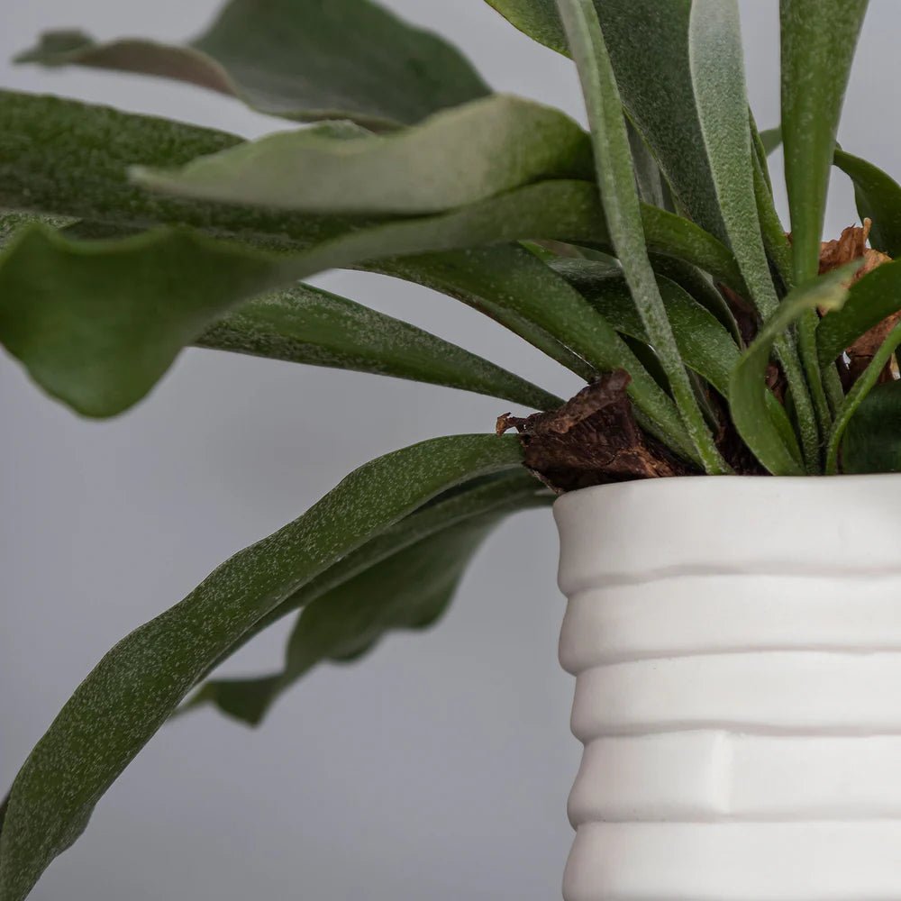 Mette Ditmer RIBBON Vas, Off - white - Azalea Home