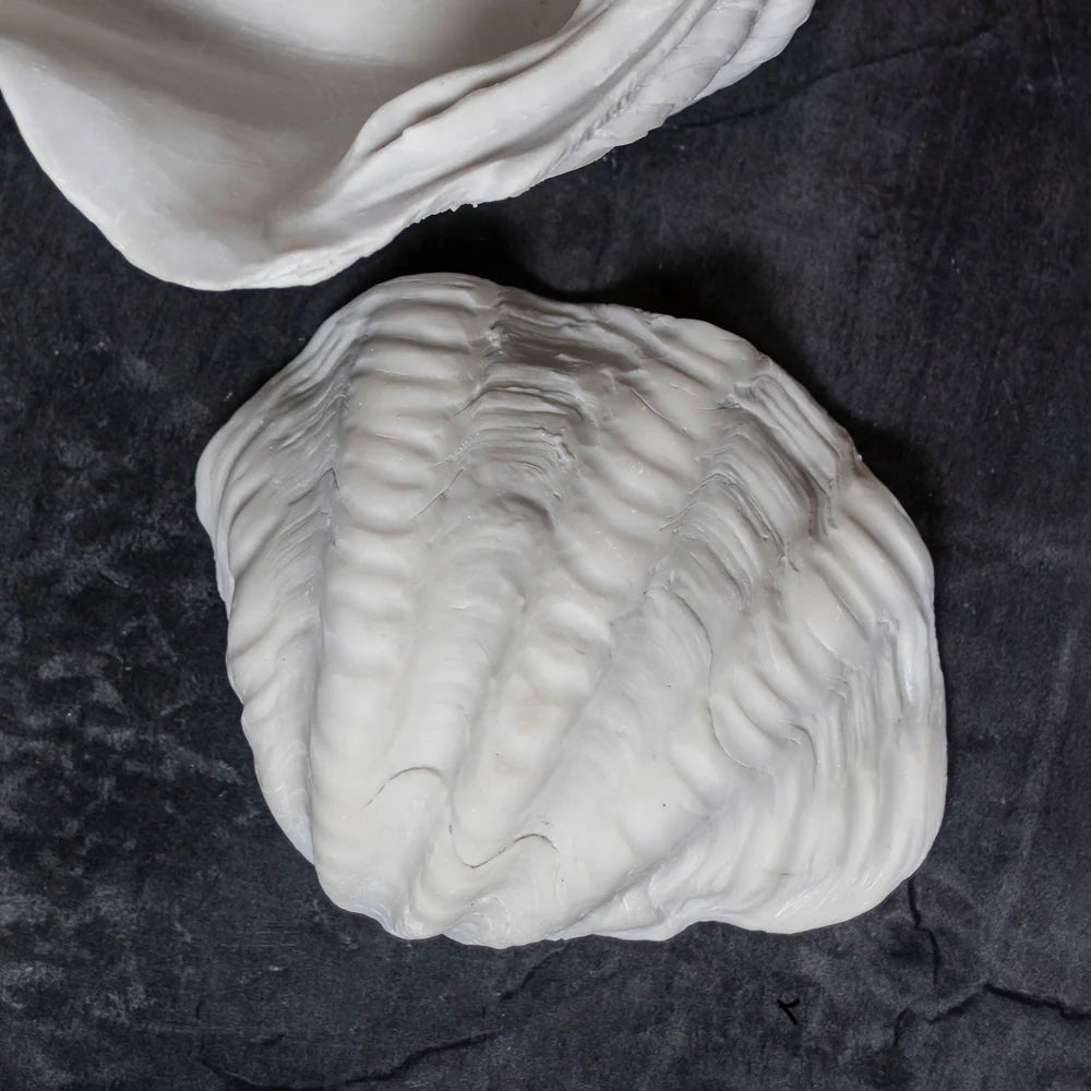 Mette Ditmer SHELL Dekoration, Vit - Azalea Home