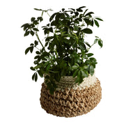 Mogihome Korg Amara 25x25, Natur/Creme - Azalea Home
