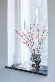 Mogihome Vas Bruno, Brun - Azalea Home