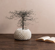Mogihome Vas Shelly, Creme - Azalea Home