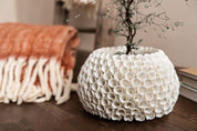 Mogihome Vas Shelly, Creme - Azalea Home