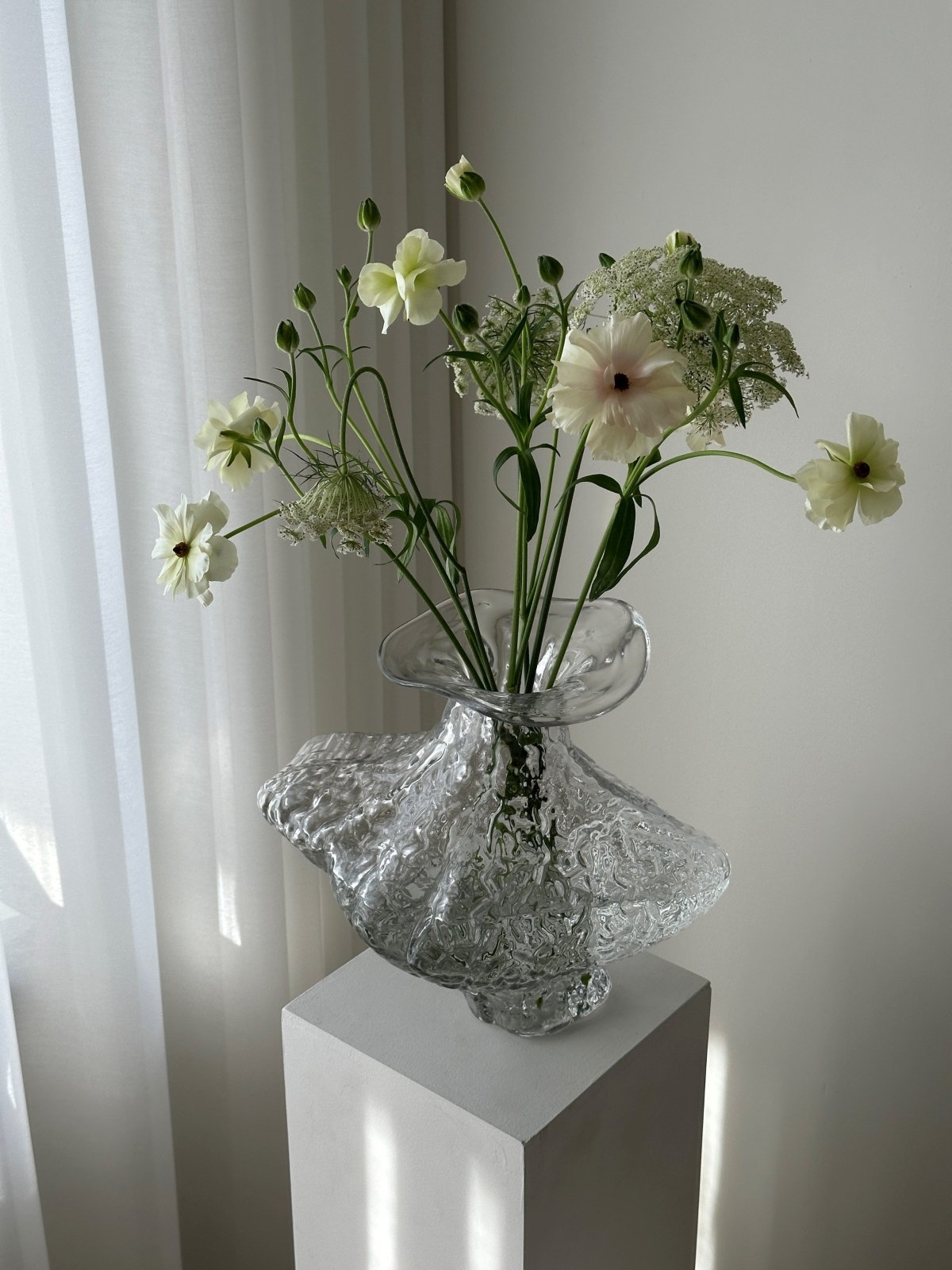 Mogihome Vas Unum, Klar - Azalea Home