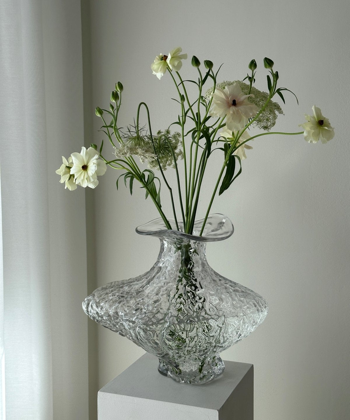 Mogihome Vas Unum, Klar - Azalea Home