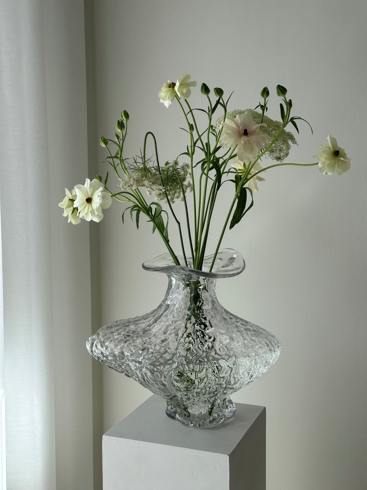 Mogihome Vas Unum, Klar - Azalea Home
