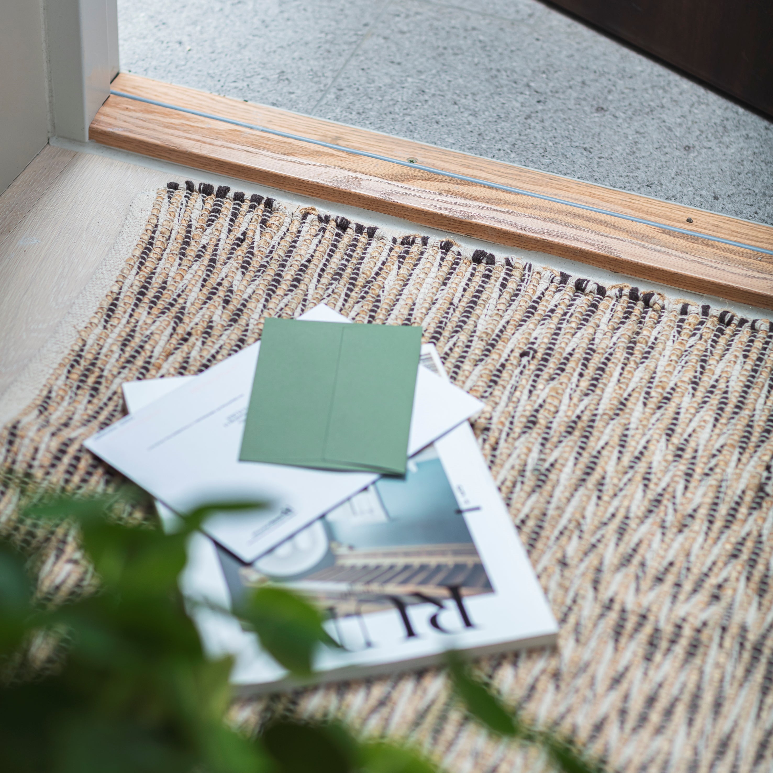 mogihome_16122024_d4a4408.jpg