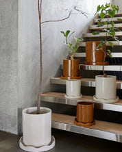 OYOY LIVING Nami Kruka med Fat Ø22cm, Bärnsten - Azalea Home