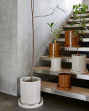 OYOY LIVING Nami Kruka med Fat Ø22cm, Vit - Azalea Home