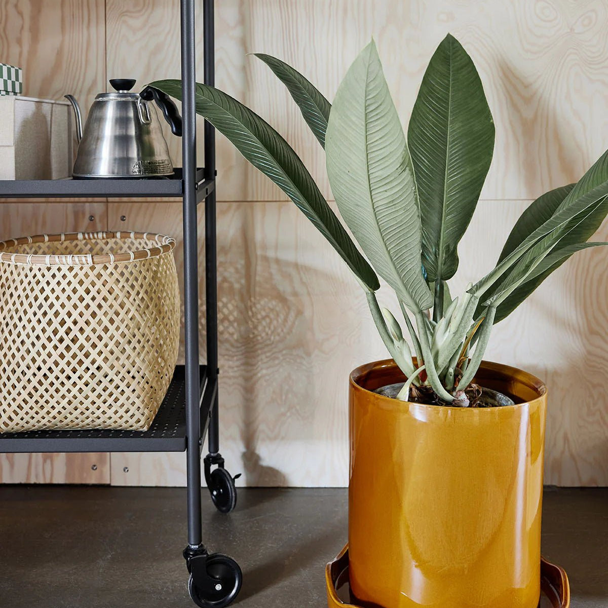 OYOY LIVING Nami Kruka med Fat Ø27cm, Bärnsten - Azalea Home