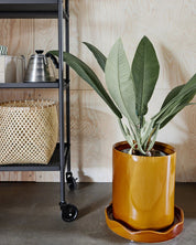 OYOY LIVING Nami Kruka med Fat Ø27cm, Bärnsten - Azalea Home