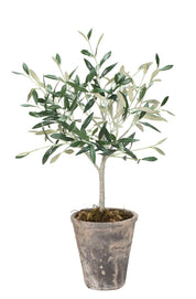 Flora olivträd 44cm, Konstväxt
