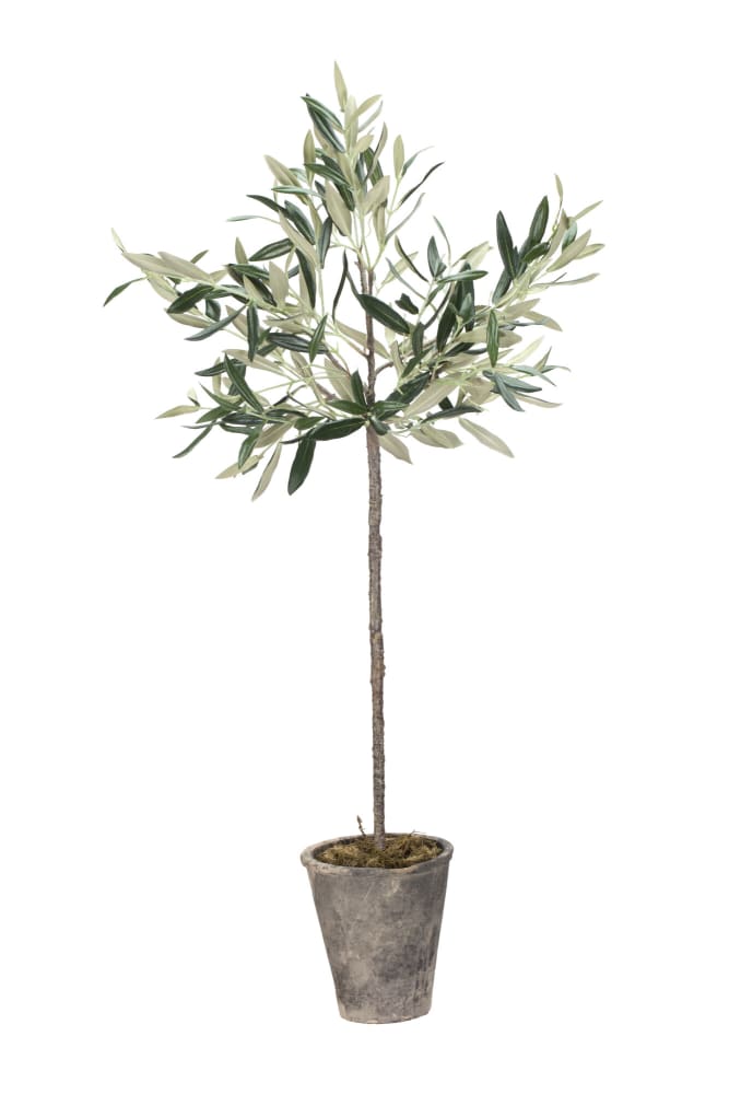 Flora olivträd 73cm, Konstväxt