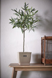 Flora olivträd 73cm, Konstväxt