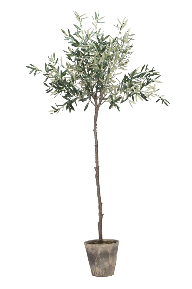 Flora olivträd 160cm, Konstväxt