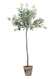 Flora olivträd 160cm, Konstväxt