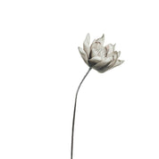 Happia Dekorationsblomma H68, Grå