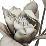 Happia Dekorationsblomma H68, Grå