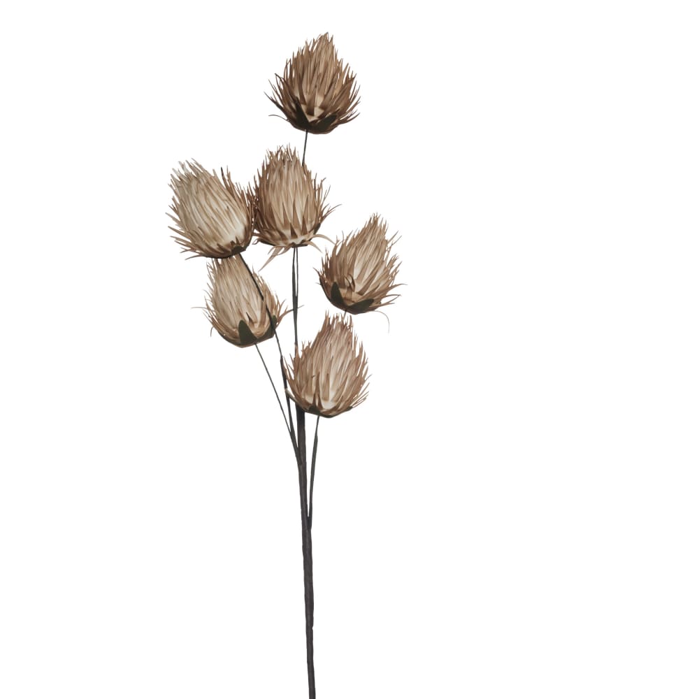 p_A00026244_default_1.jpg