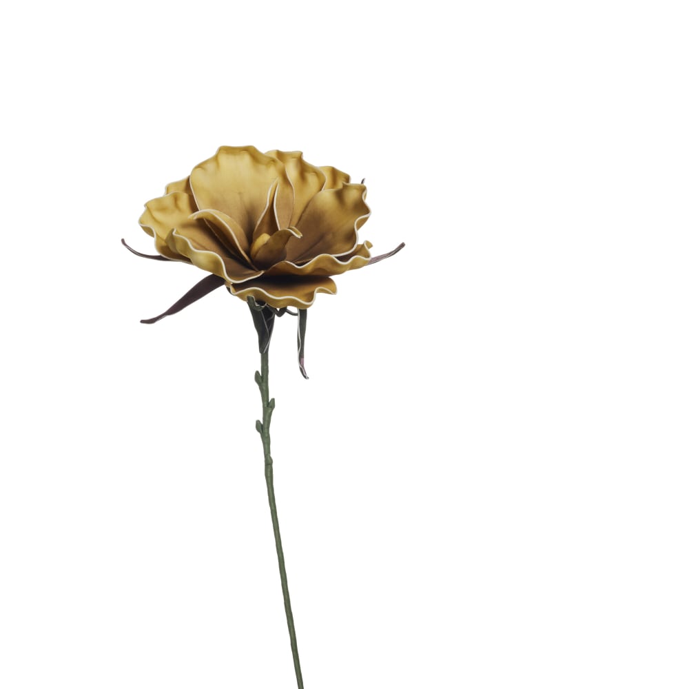 p_A00026249_default_1.jpg
