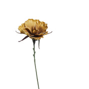Happia Dekorationsblomma H18, Ochre